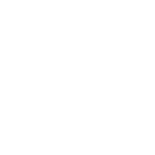 Streamlit Logo